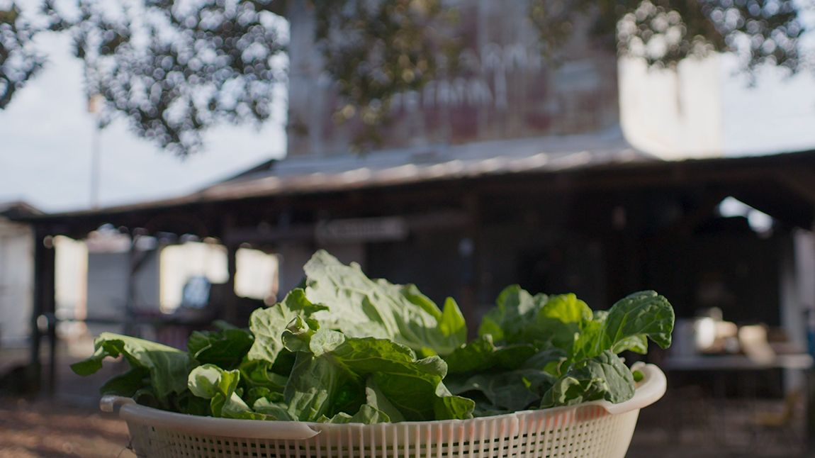 Got To Be NC Keeps Consumers Connected To N.C. Agriculture